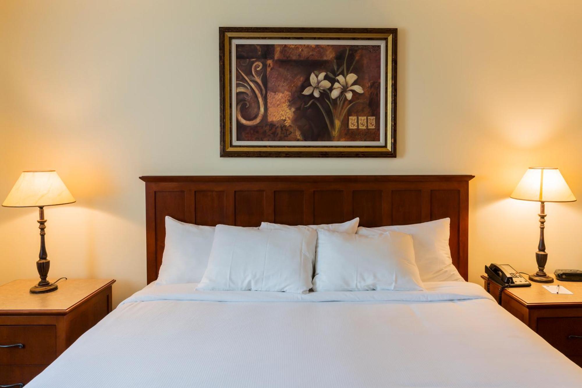 Saint-Bernard-de-Lacolle Hotel St-Bernard מראה חיצוני תמונה